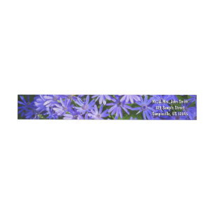 Blue Daisy-like Flowers Natuur Fotografie