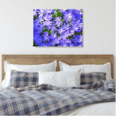 Blue Daisy-like Flowers Natuur Fotografie Canvas Afdruk (Insitu (Slaapkamer))
