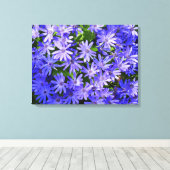 Blue Daisy-like Flowers Natuur Fotografie Canvas Afdruk (Insitu (Houten vloer))