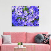 Blue Daisy-like Flowers Natuur Fotografie Canvas Afdruk (Insitu (Woonkamer))