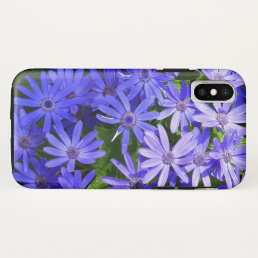 Blue Daisy-like Flowers Natuur Fotografie Case-Mate iPhone Case (Achterkant (horizontaal))