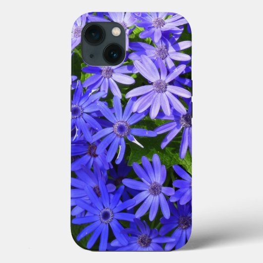 Blue Daisy-like Flowers Natuur Fotografie Case-Mate iPhone Case (Achterkant)