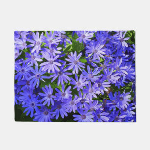 Blue Daisy-like Flowers Natuur Fotografie Deurmat
