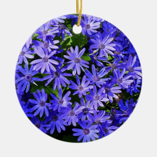 Blue Daisy-like Flowers Natuur Fotografie Keramisch Ornament (Voorkant)