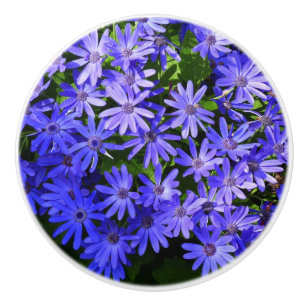 Blue Daisy-like Flowers Natuur Fotografie Keramische Knop