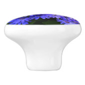 Blue Daisy-like Flowers Natuur Fotografie Keramische Knop (Zijkant)