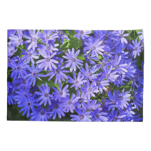 Blue Daisy-like Flowers Natuur Fotografie Kussensloop (Achterkant)