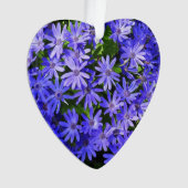 Blue Daisy-like Flowers Natuur Fotografie Ornament (voorkant)