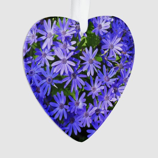 Blue Daisy-like Flowers Natuur Fotografie Ornament (voorkant)