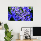 Blue Daisy-like Flowers Natuur Fotografie Poster (Thuiskantoor)