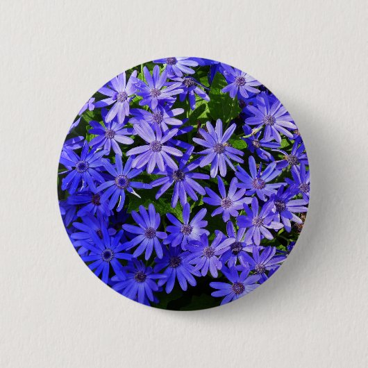 Blue Daisy-like Flowers Natuur Fotografie Ronde Button 5,7 Cm (Voorkant)