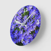 Blue Daisy-like Flowers Natuur Fotografie Ronde Klok (Hoek)