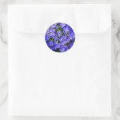 Blue Daisy-like Flowers Natuur Fotografie Ronde Sticker (Tas)