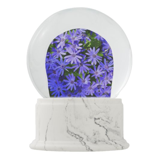 Blue Daisy-like Flowers Natuur Fotografie Sneeuwbol (Voorkant)