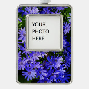 Blue Daisy-like Flowers Natuur Fotografie Verzilverd Omlijst Ornament