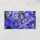 Blue Daisy-like Flowers Natuur Fotografie Visitekaartje (Achterkant)