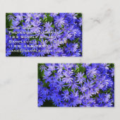Blue Daisy-like Flowers Natuur Fotografie Visitekaartje (Voorkant / Achterkant)