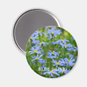 Blue Daisy Magneet (Voorkant / Achterkant)