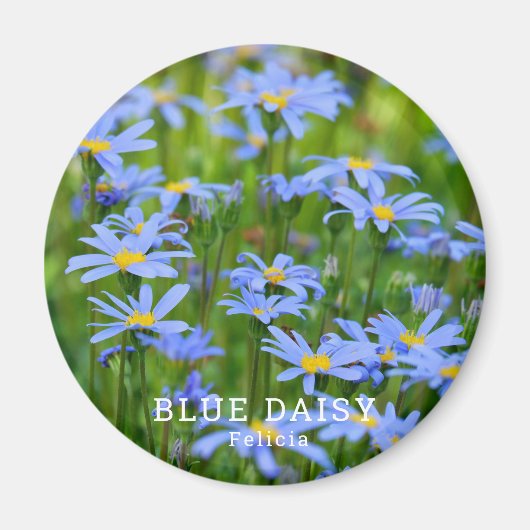 Blue Daisy Magneet (Voorkant)