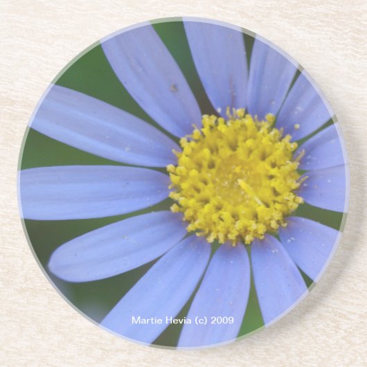 Blue Daisy - Onderzetter (Voorkant)