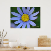 Blue Daisy Poster (Keuken)