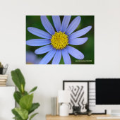 Blue Daisy Poster (Thuiskantoor)