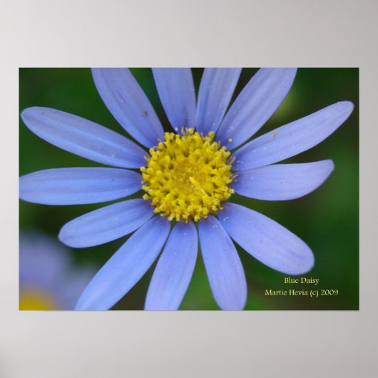 Blue Daisy Print - Selecteer uw Lijst (Voorkant)