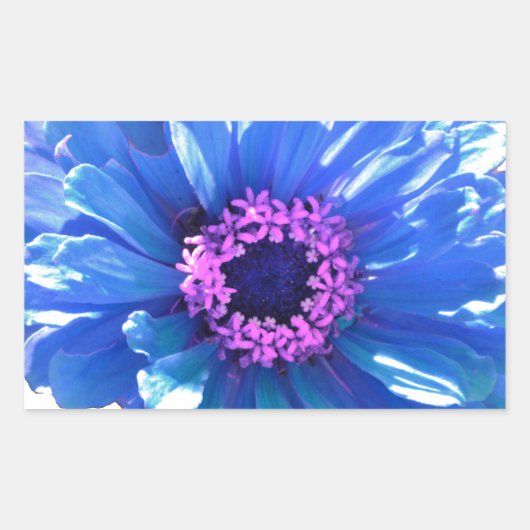 Blue Daisy Rechthoekige Sticker (Voorkant)