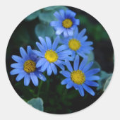 Blue Daisy Stickers (Voorkant)