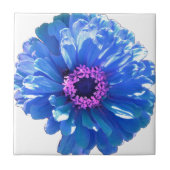Blue Daisy Tegeltje (Voorkant)