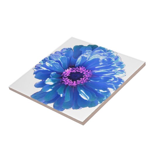 Blue Daisy Tegeltje (Zijkant)