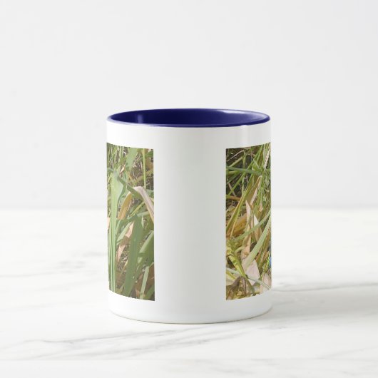 Blue Damselfly-Mok Mok (Midden)