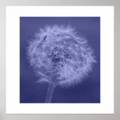Blue Dandelion Poster/Print Poster (Voorkant)