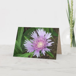 Blue Danube Stokes Aster Flower Kaart