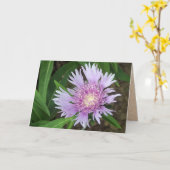 Blue Danube Stokes Aster Flower Kaart (Gele Bloem)