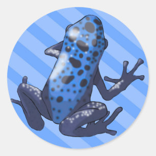 Blue Dart Frog (bijgewerkt) Blue stripe Sticker