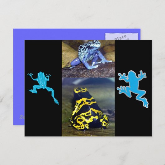 BLUE DART FROG BRIEFKAART (Voorkant / Achterkant)