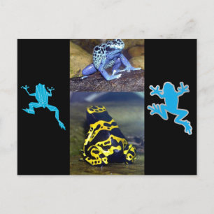 BLUE DART FROG BRIEFKAART