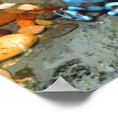 Blue Dart Frog CB Poster (Hoek)