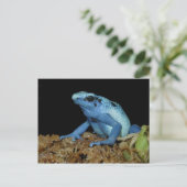 Blue Dart Frog (Dendrobates azureus).jpg Briefkaart (Staand voorkant)