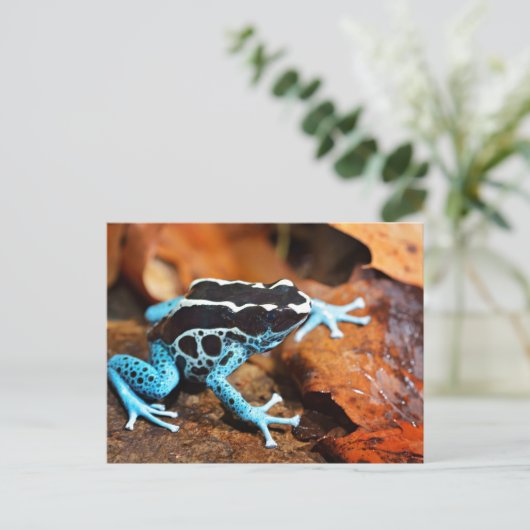 Blue Dart Frog Dendrobates Tinctorius Briefkaart (Staand voorkant)