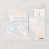 Blue Dart Frog Dendrobates Tinctorius Briefkaart (Achterkant)