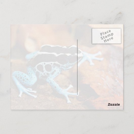 Blue Dart Frog Dendrobates Tinctorius Briefkaart (Achterkant)