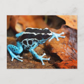 Blue Dart Frog Dendrobates Tinctorius Briefkaart (Voorkant)