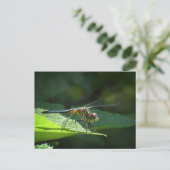 Blue Dasher Dragonfly Briefkaart (Staand voorkant)