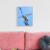 Blue Dasher Dragonfly in Obelisk Posture Canvas Afdruk (Insitu (Woonkamer))