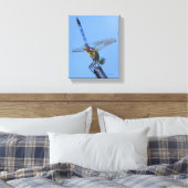 Blue Dasher Dragonfly in Obelisk Posture Canvas Afdruk (Insitu (Slaapkamer))