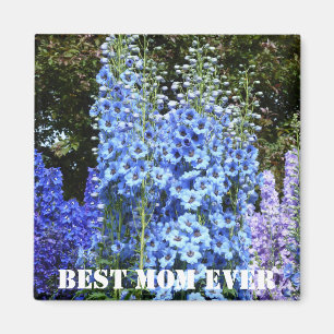 Blue Delphinium Floral Flowers Garden Natuur Magne Magneet
