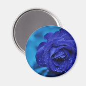 Blue Dewdrop Roos Magneet (Voorkant / Achterkant)