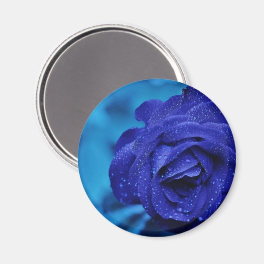 Blue Dewdrop Roos Magneet (Voorkant / Achterkant)